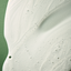Benvoleo Recovery Shampoo