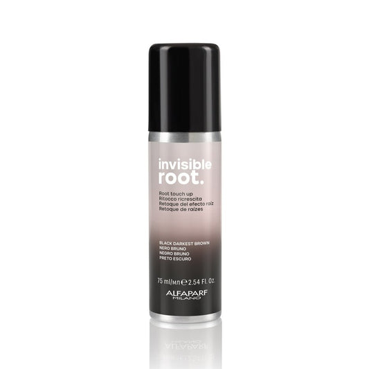 Invisible Root Touch Up Spray