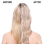 Blonde Anti-Yellow Sulfate Free Shampoo