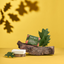 Benvoleo Conscious Daily Shower and Shampoo Bar