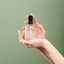 Benvoleo Nutri Care Oil
